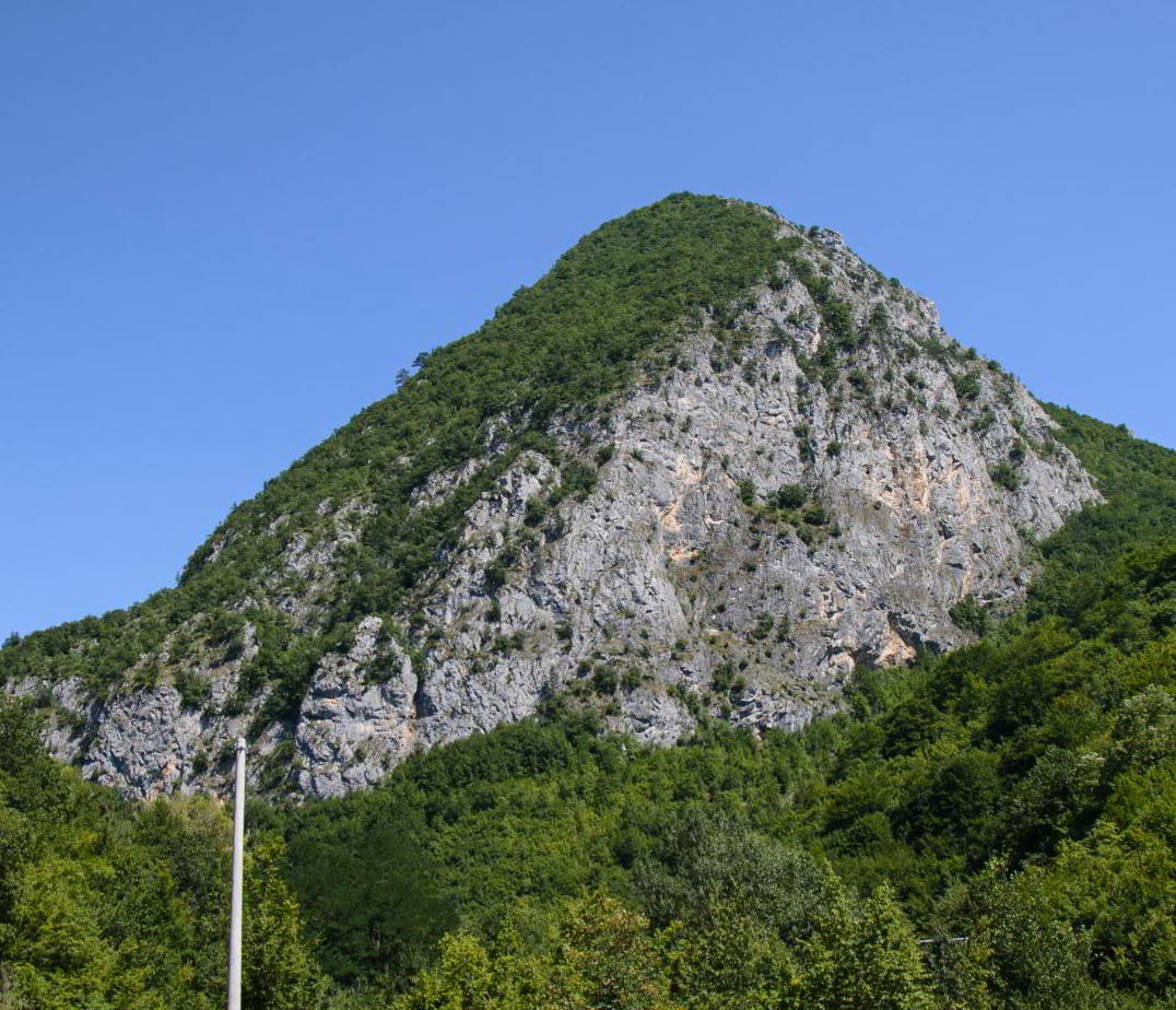 Planinski vrh Bejličkovica visine 1003 metra, prekrivena šumom.