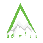 Vector logo made of straight lines in the shape of a triangle, a combination of green and white colors.