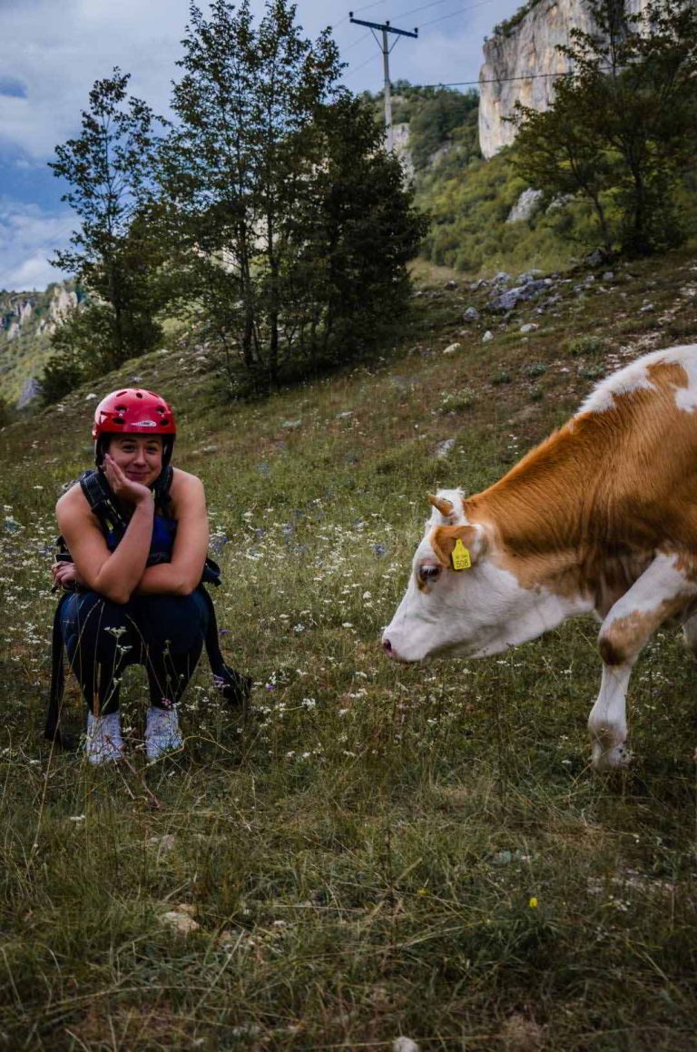 Devojka sa kacigom na glavi sedi pored krave na livadi