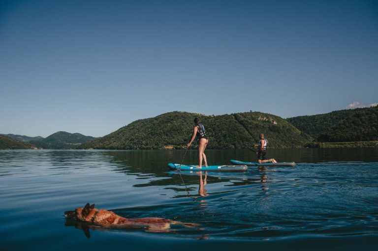Jezero i pas